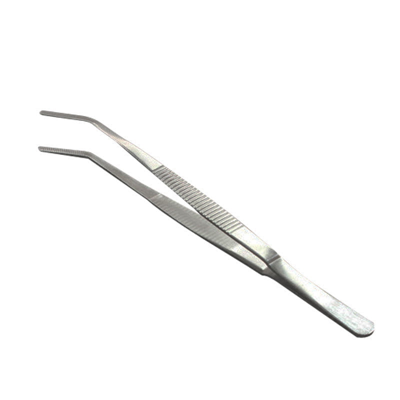 gardening tools set for succulents and flowers planting