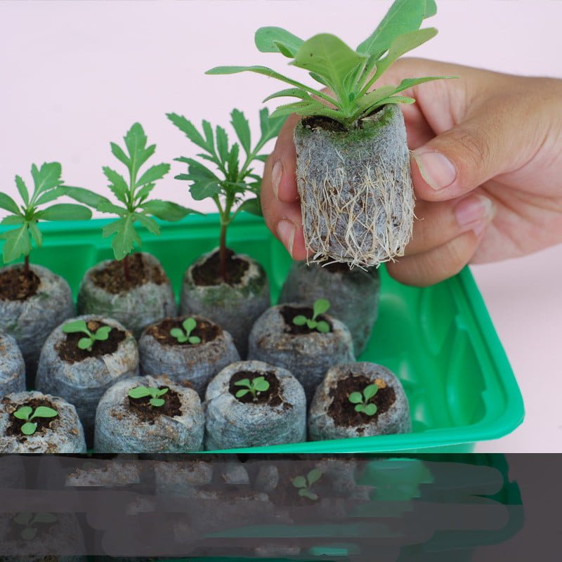 1620298177829-1.Jpg gardening tools set for succulents and flowers planting