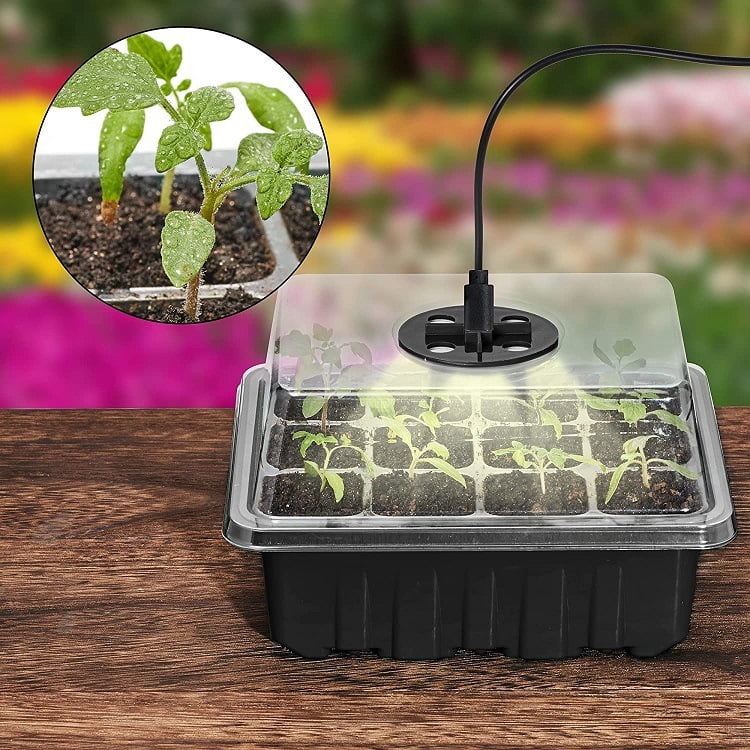 Seedling Pot With Lamp - 12 Well Starter Kit