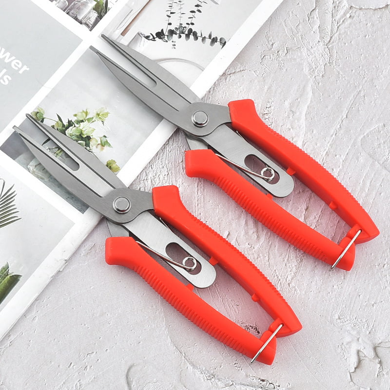 Pruning Shears: Stainless Double-Headed for Flowers & Fruits