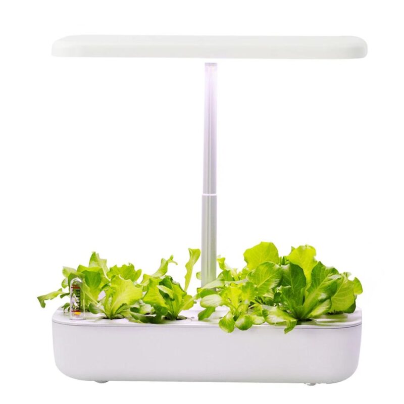 Indoor Hydroponic System: Smart Non-Toxic Soilless Planter and Gardening Kit