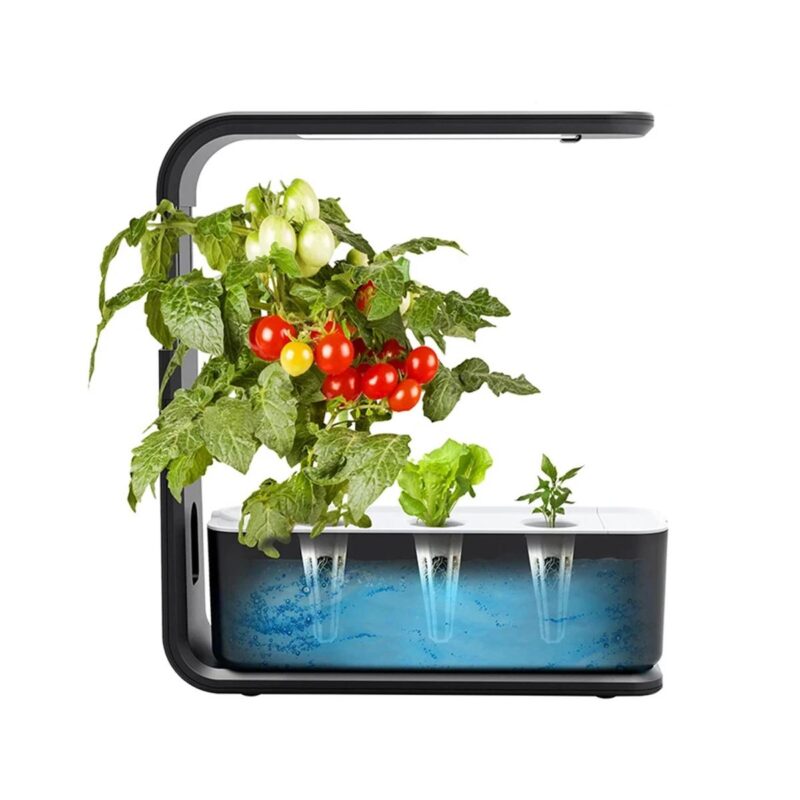 Best Small Hydroponic Growing, 3-Pod Vegetable Box