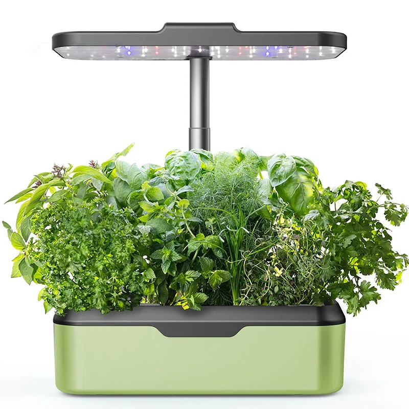 indoor veggie garden: fresh herbs all-year-round