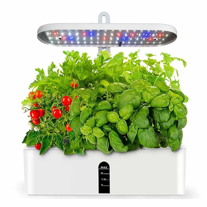 cherry tomato plant indoor: vertical smart hydro kit