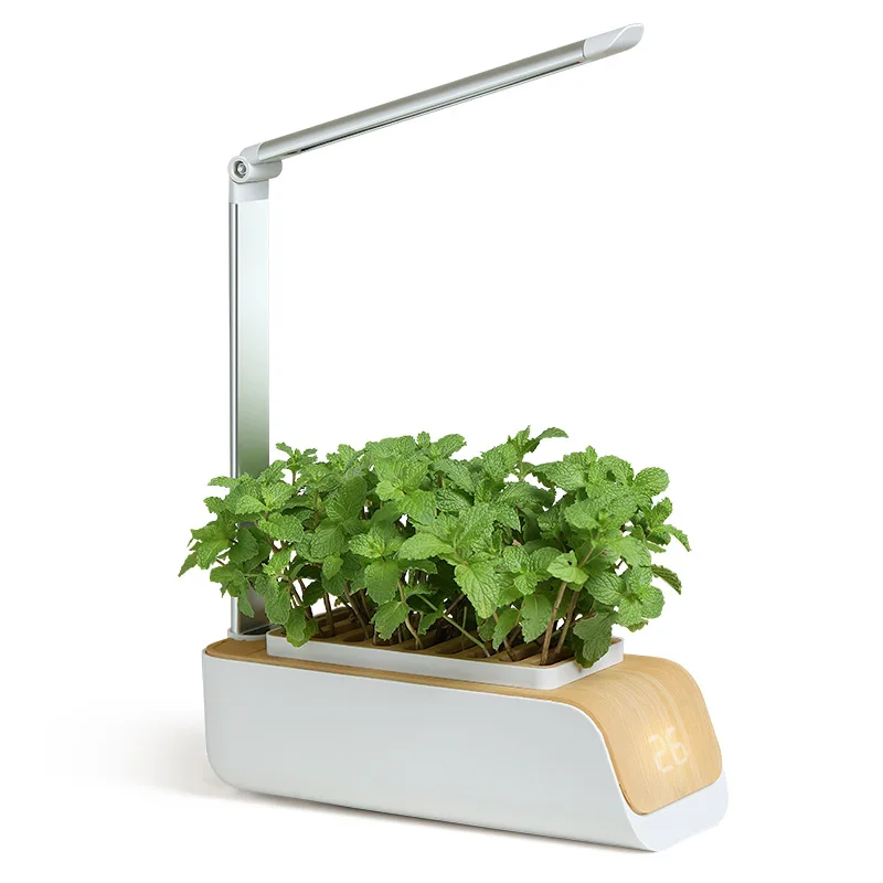 best light for growing plants indoors: led grow system