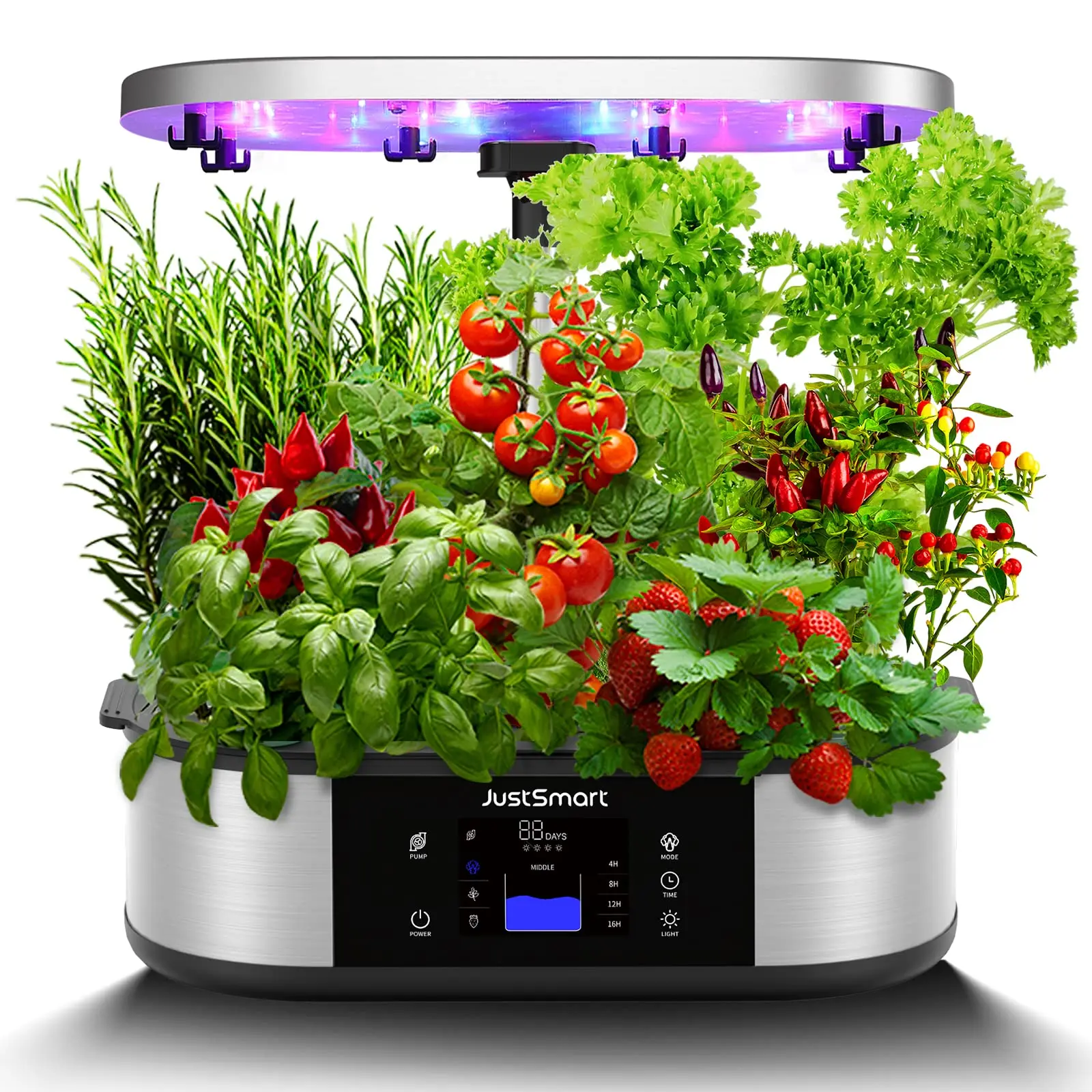 12 pods hydroponics growing system |top winter vegetables to grow indoors for a thriving indoor garden