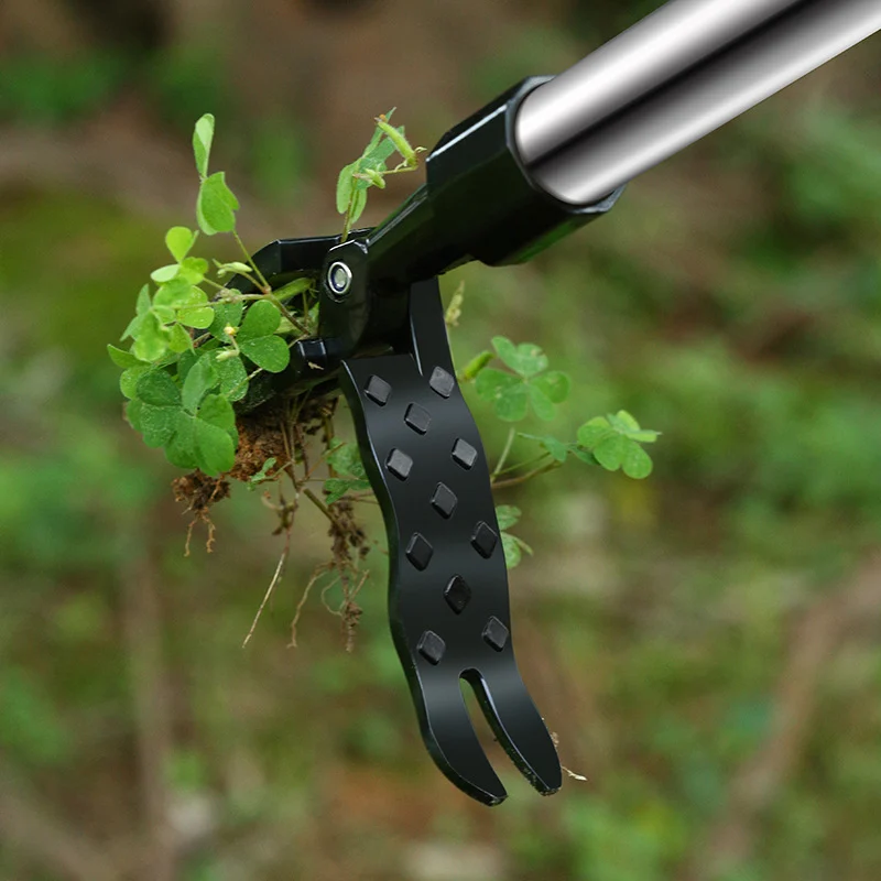 Weed Removal Tool: Gardening Essential