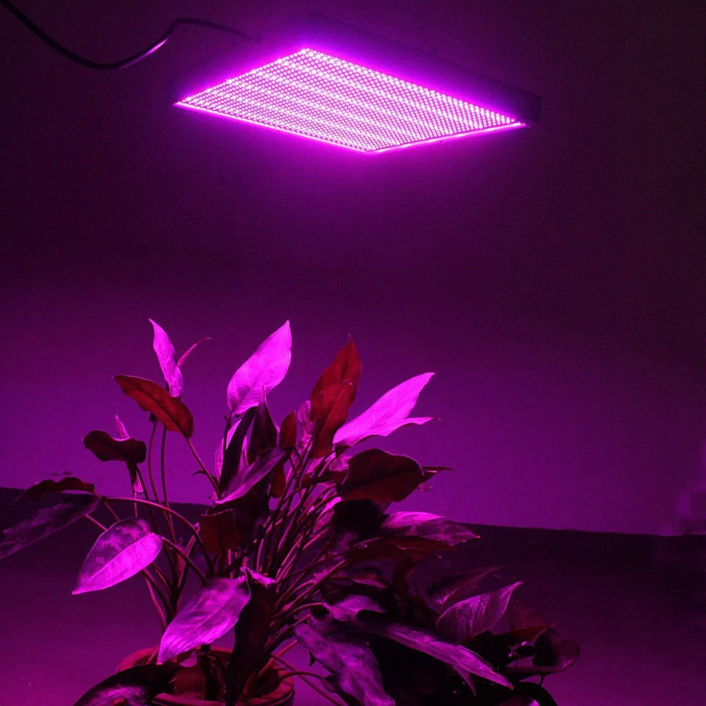 Overhead LED Plant Growth Light for Indoor Hydroponic Systems