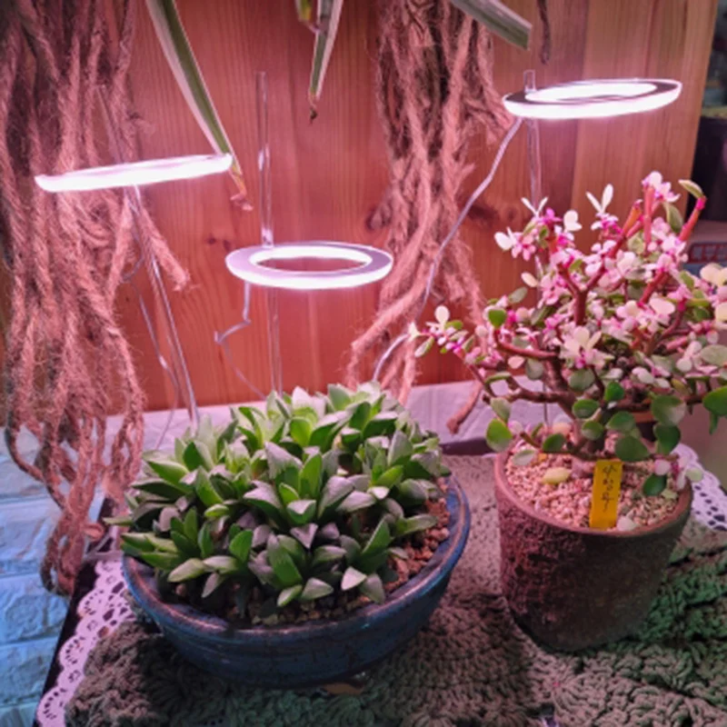 Full Spectrum LED Grow Light Angel Ring Phyto Grow Lamp USB Phytolamp For Plants 5V Lamp Indoor Flower Greenhouse Plant Seedling