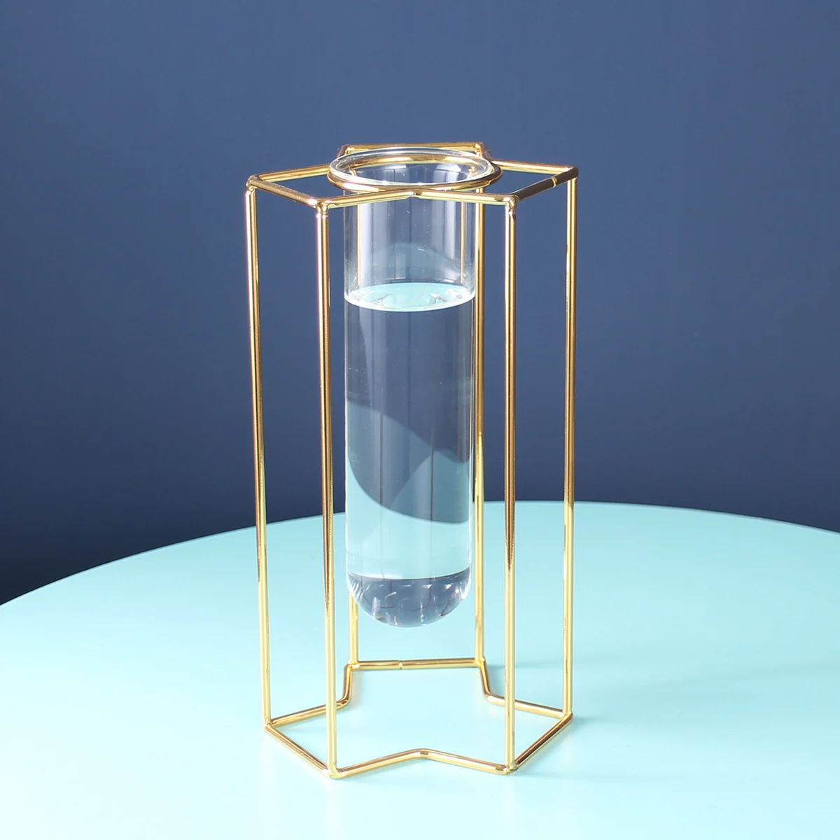 05B68E74-6146-4375-B80C-Dc240Ba645D3.Webp light luxury ornaments hydroponic glass vase