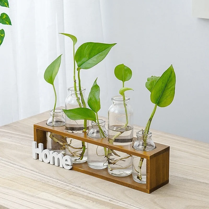 0677A700-71Ee-43F7-B8Eb-261B93D5A59B.webp simple and fresh glass vase hydroponic
