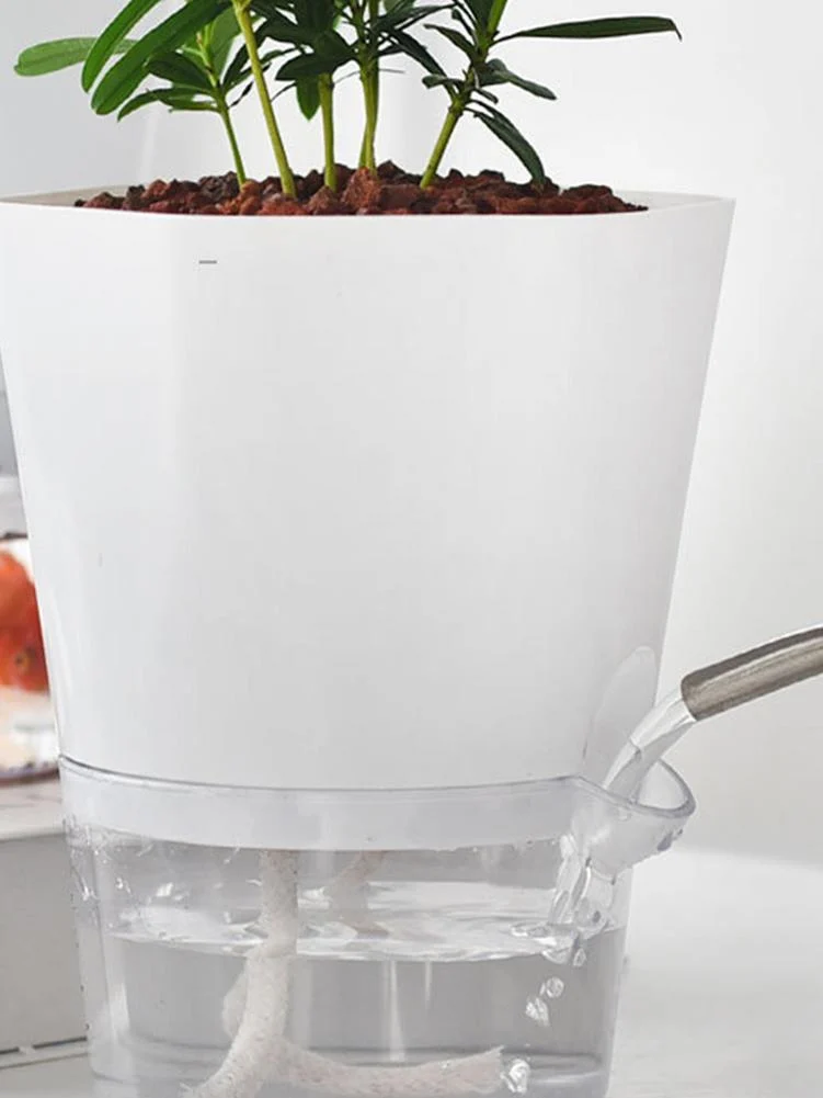 08677308-C777-46F4-B922-3494B9956E95.Webp self-absorbing hydroponic plastic flower pot