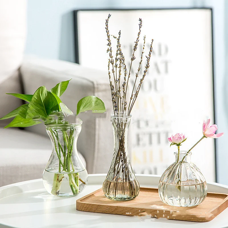 087B39C8-7C72-43Cc-A97F-C5680F3D7111.Webp hydroponic creative glass vase