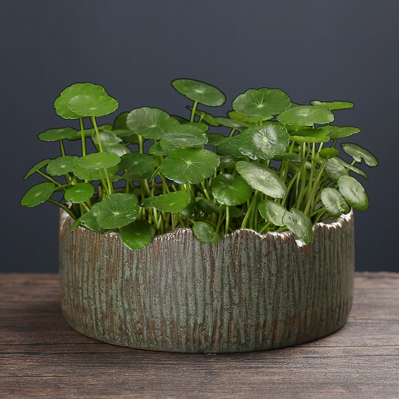 hydroponic plant ceramic flower pot hydroponic ware ornaments