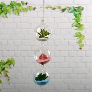 hydroponic glass vase