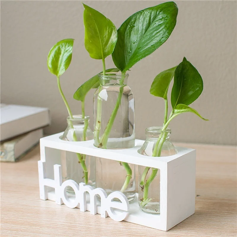 10700500660170.Webp hydroponic vase glass decoration