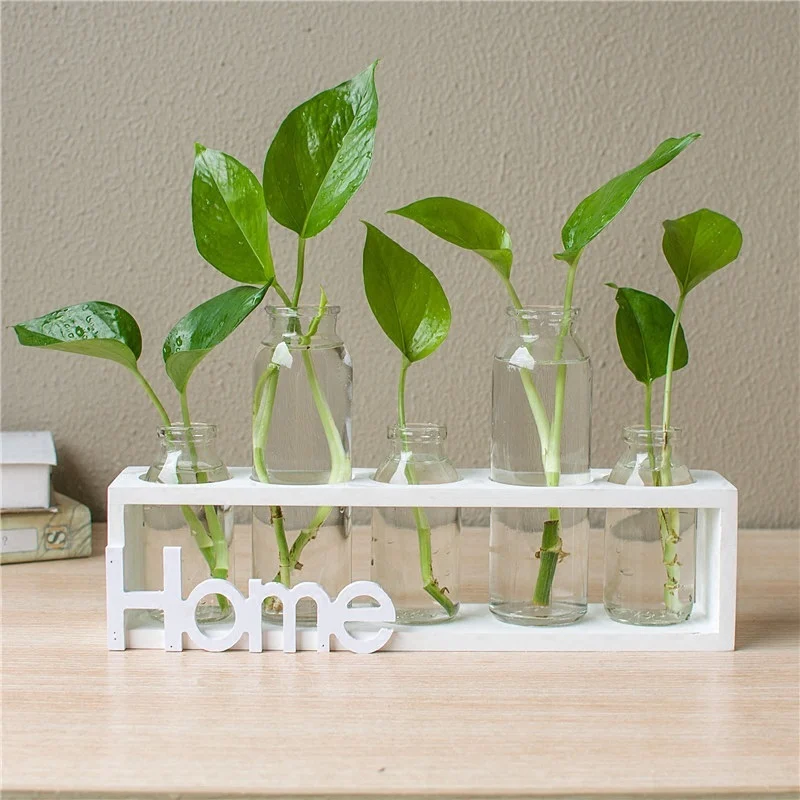 1128339970728.Webp hydroponic vase glass decoration