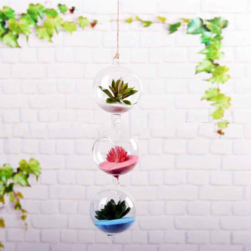 1291080433736.Webp hydroponic glass vase