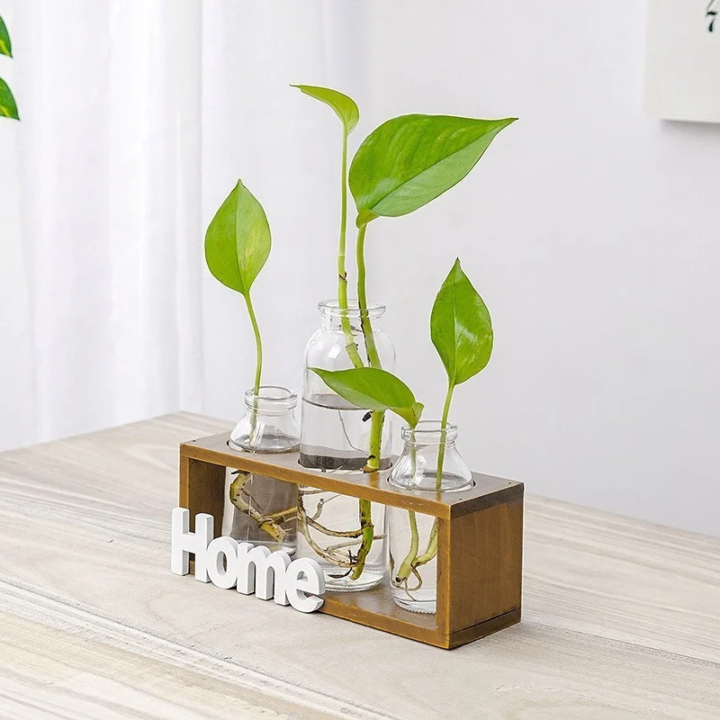 1390D958-A1E3-498C-Ae05-3E7040021Ff1.Webp simple and fresh glass vase hydroponic