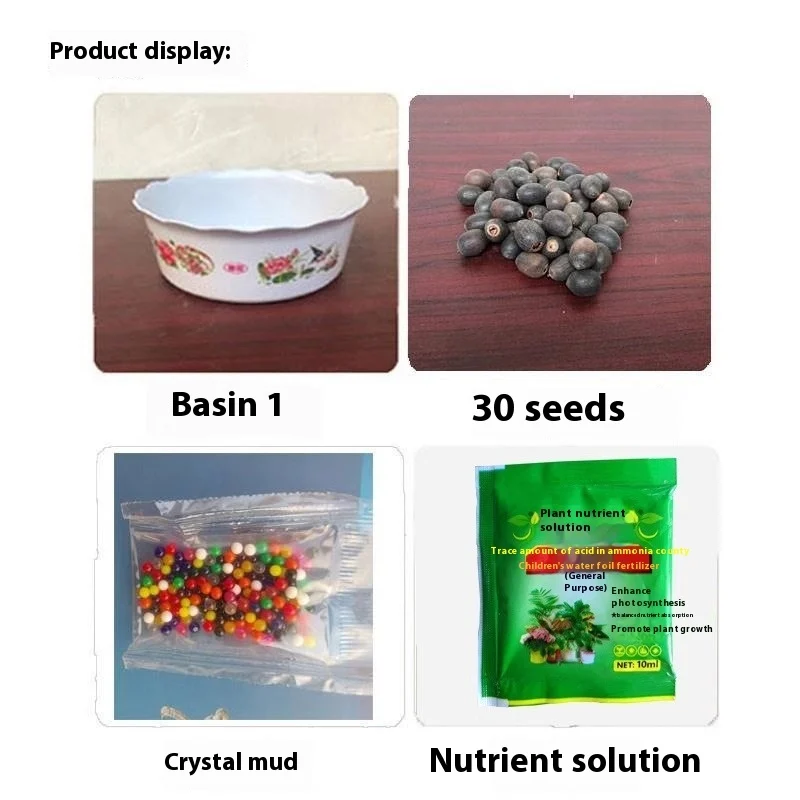 13D645Ea-5D5F-46E8-820F-1A8C9552705F_Trans.webp bowl lotus lotus seed fish tank hydroponic plant indoor hydroponic