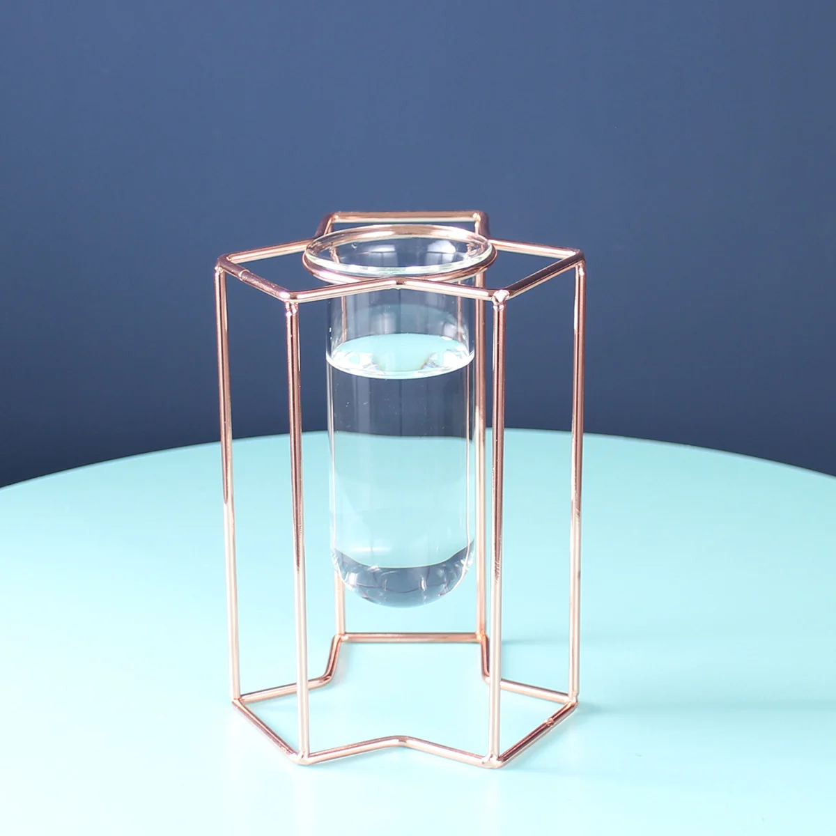1473Ebb1-69B8-440E-8E08-69863C2769Cf.webp light luxury ornaments hydroponic glass vase