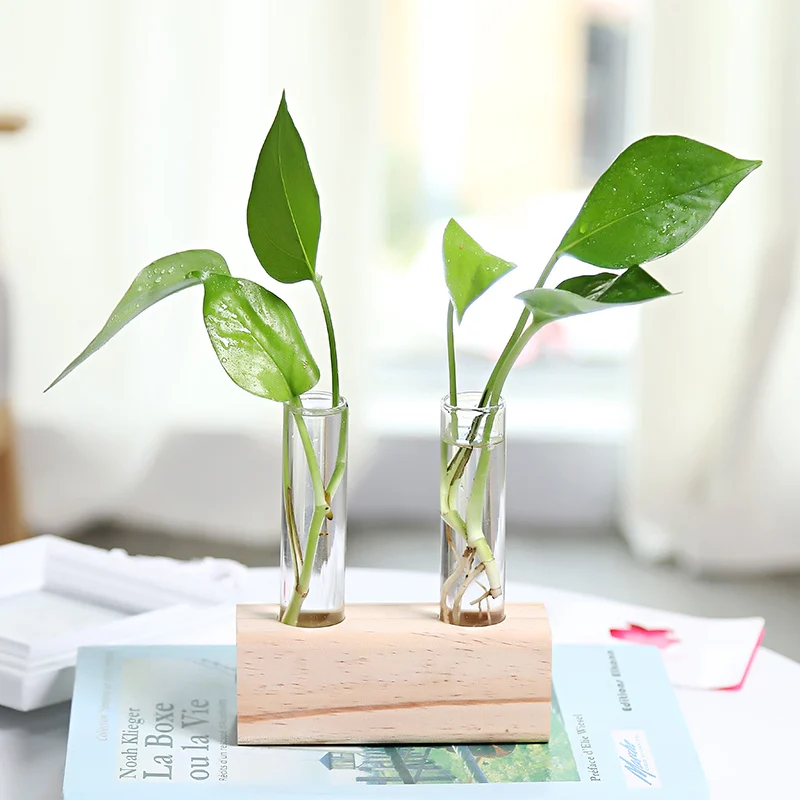 1480931362783.Webp glass hydroponic vase indoor small vase