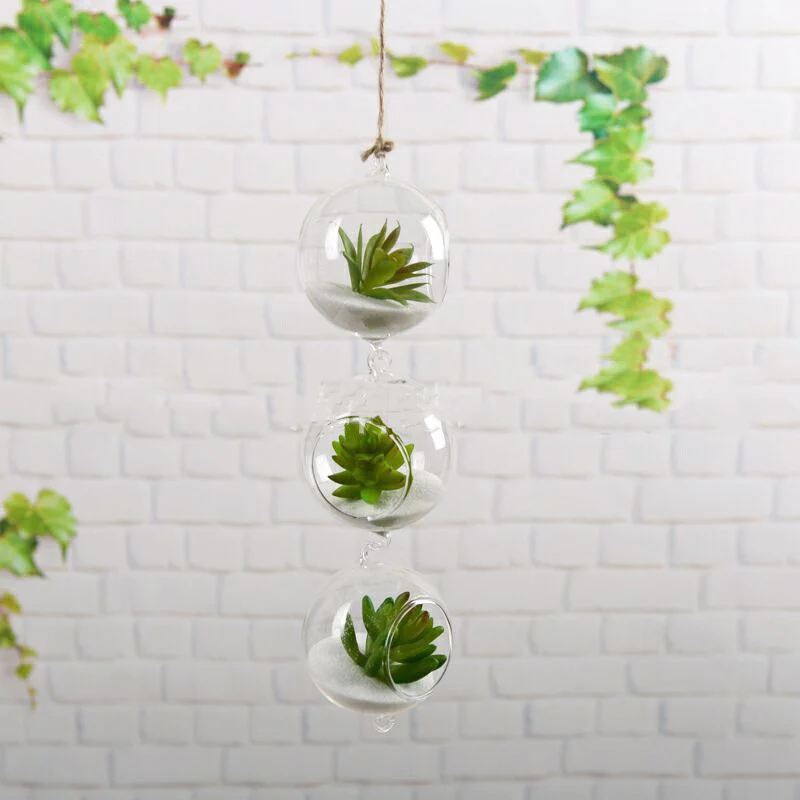 17105825008893.Webp hydroponic glass vase
