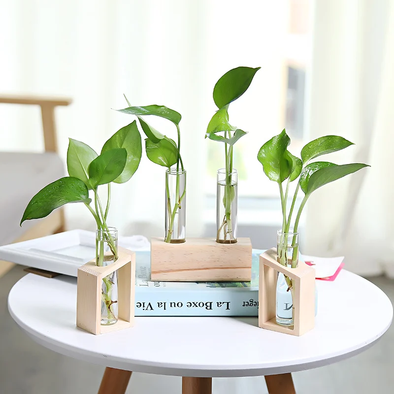 1837405901840.Webp glass hydroponic vase indoor small vase