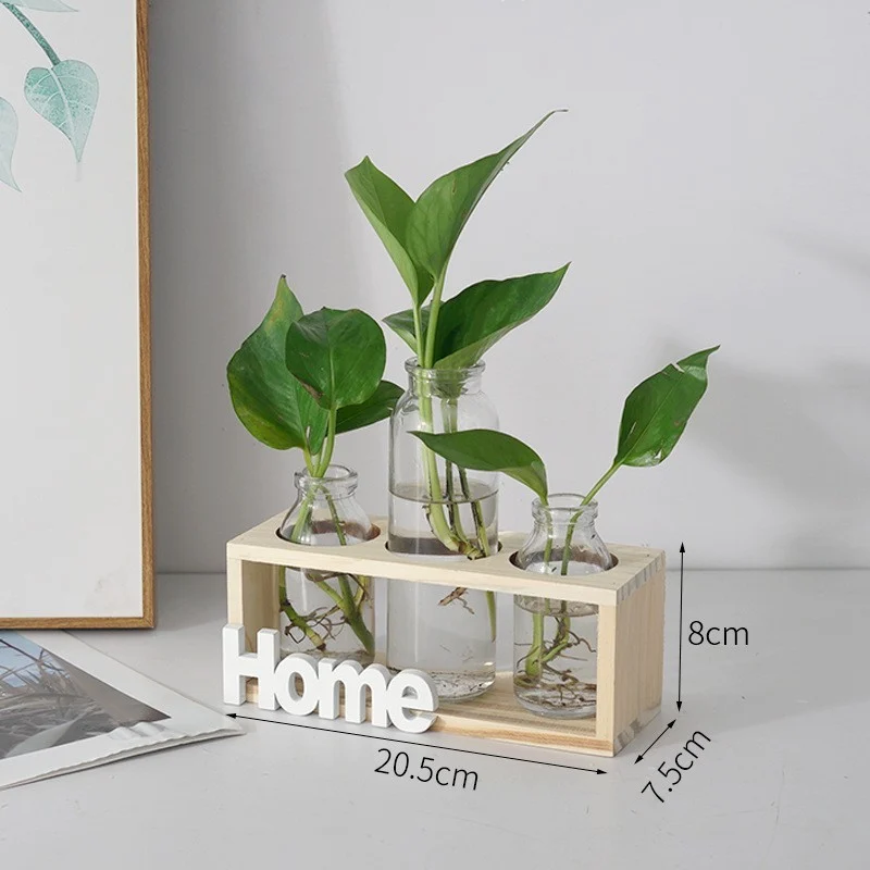 1Cc0Eba9-4A72-43D0-9C6A-25959C3D10F0.Webp simple and fresh glass vase hydroponic