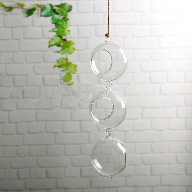 221001393231.Webp hydroponic glass vase
