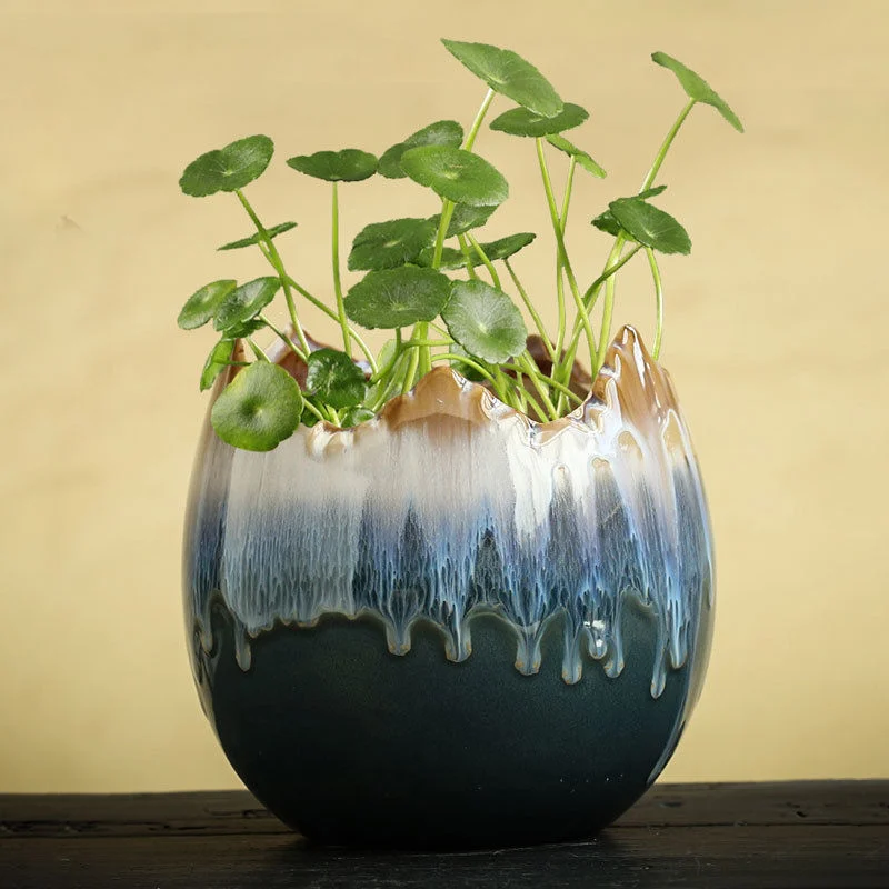 2228A8B6-6Ee4-480A-B63F-D2Db5155A1D5.Webp hydrocotyle hydroponic ceramic non-porous flowerpot