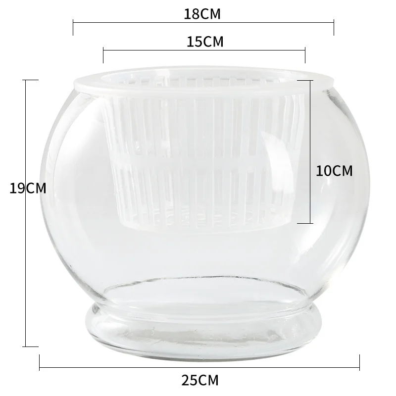 23Edb54B-Cafd-4571-9Bfc-C93411Eff403.Webp hydroponic plant glass bottle transparent glass vase