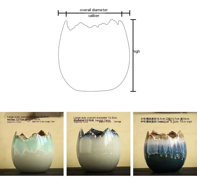 2403210344430327000.Webp hydrocotyle hydroponic ceramic non-porous flowerpot