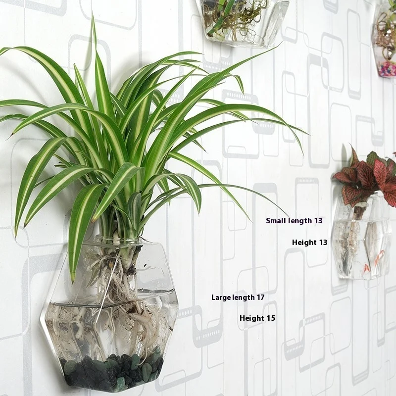 30131B3B-Abf7-4D43-9334-04044F8B7Ac8_Trans.webp creative hydroponic hanging transparent glass vase