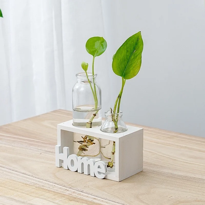 312626B1-1Ea6-452F-B08B-Af10Eef62D17.Webp simple and fresh glass vase hydroponic