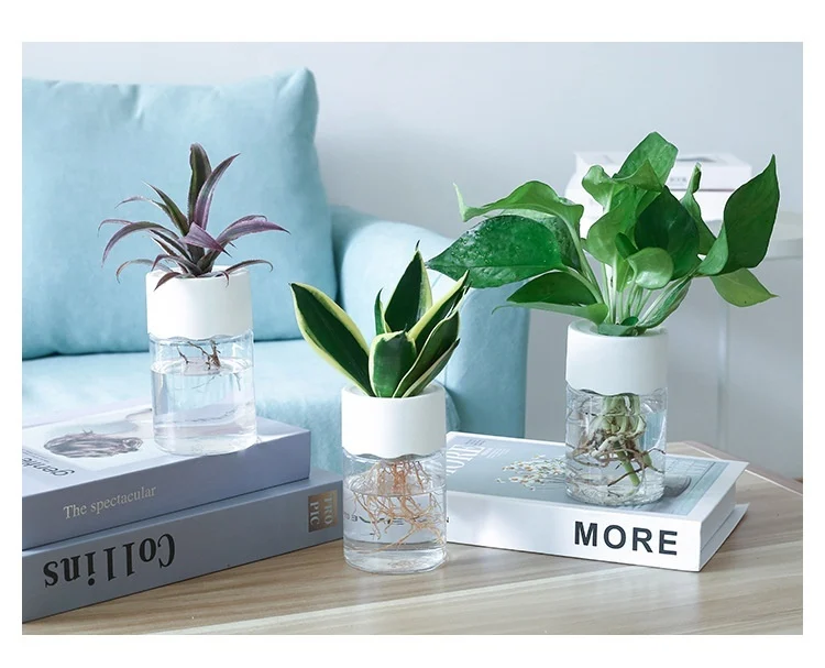 330F149A-E18C-4126-9C2E-C1Bdd26C0F8B.webp transparent small pot plant hydroponic desktop