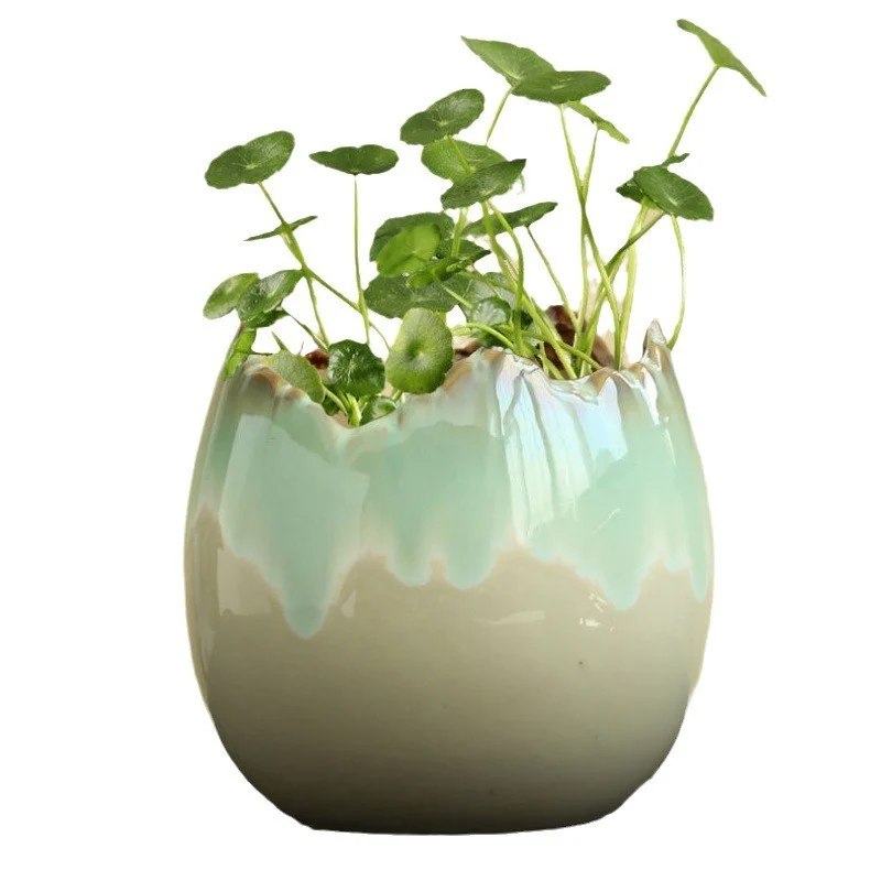 366Fcb85-0F36-4E30-A815-5Ef50C07455F.webp hydrocotyle hydroponic ceramic non-porous flowerpot