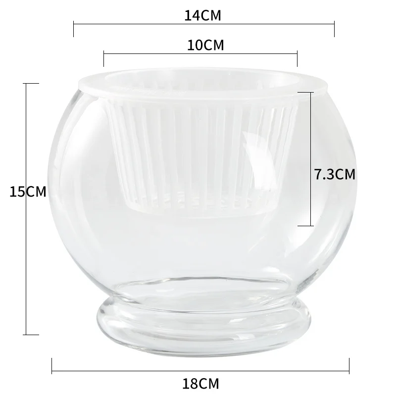 36B235D1-C6A7-4Bcd-99E1-Baee84269086.Webp hydroponic plant glass bottle transparent glass vase