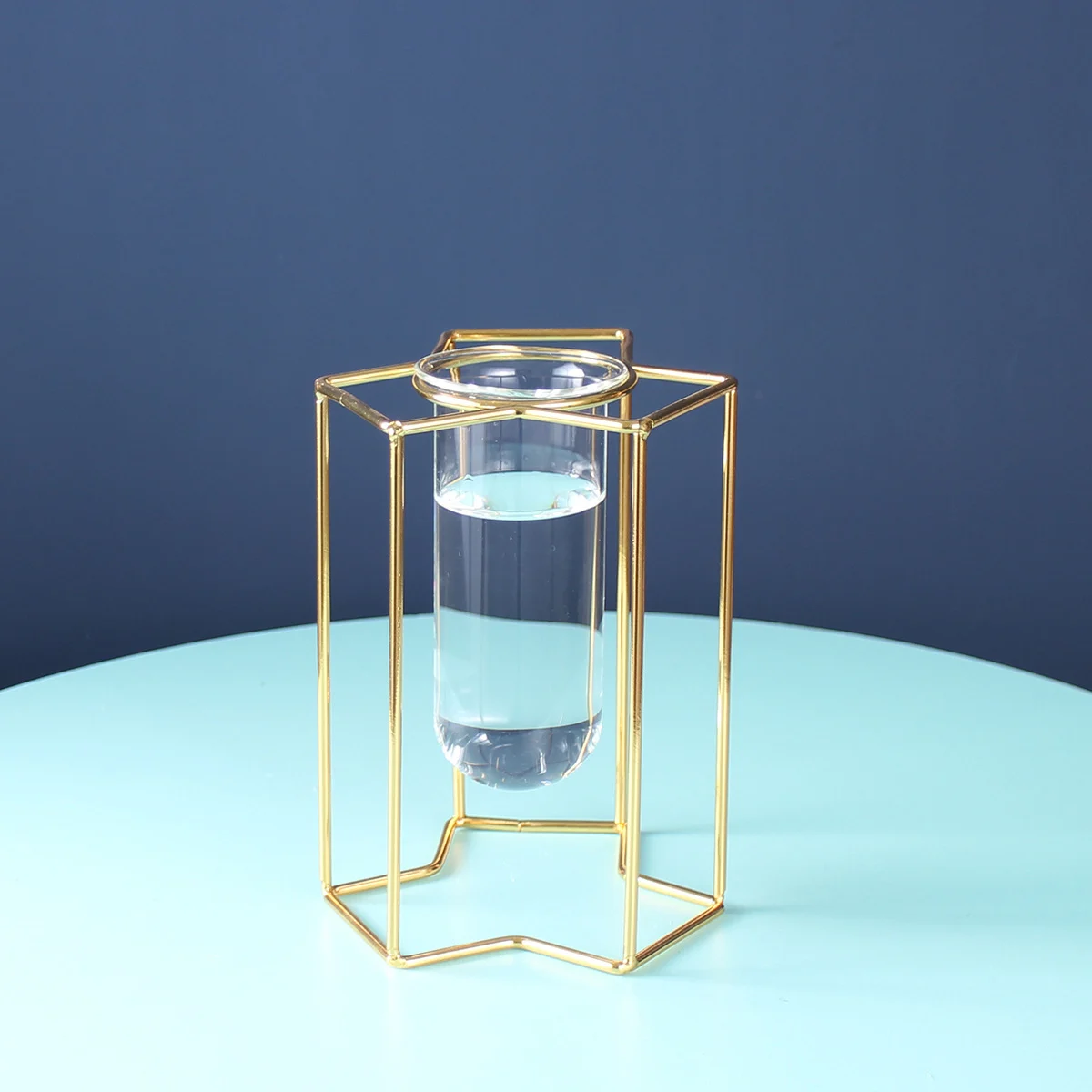 3Cdb0E2E-1178-4F25-A4D5-0A5479C2D765.Webp light luxury ornaments hydroponic glass vase