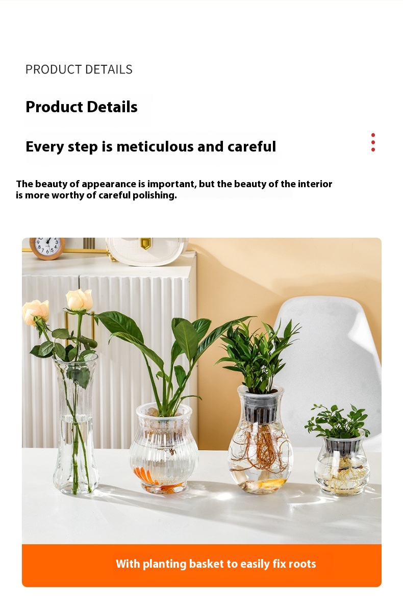 Transparent Plastic Hydroponic Vase Container 8
