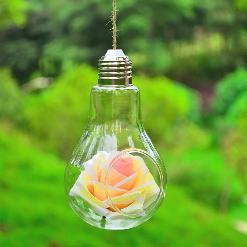 4F2E33E4-169E-4E2D-9117-45E42068043E.webp hanging transparent hydroponic glass crafts bulb vase