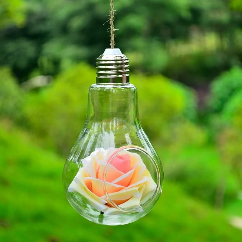 508A6A62-50Ef-4D92-9139-Dea7E6D58278.Webp hanging transparent hydroponic glass crafts bulb vase