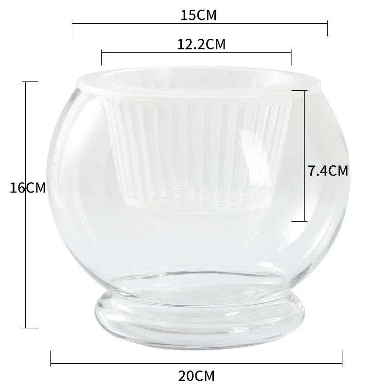 53184Dea-2377-495E-8883-Fde3573F1E57.Webp hydroponic plant glass bottle transparent glass vase