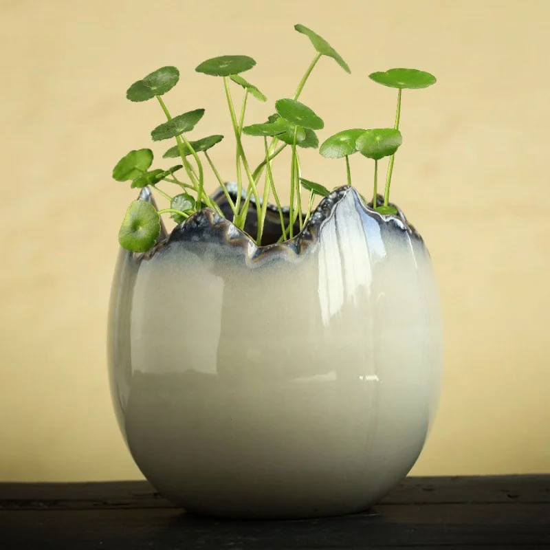 55Addb8F-E4B7-42Bc-Aa7E-946Aa67A38C7.Webp hydrocotyle hydroponic ceramic non-porous flowerpot