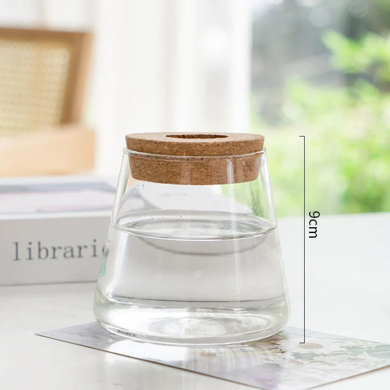 58987A45-Bbc0-48Cb-94Bf-D9E2E915Bbce.webp transparent simple creative hydroponic plant glass vase