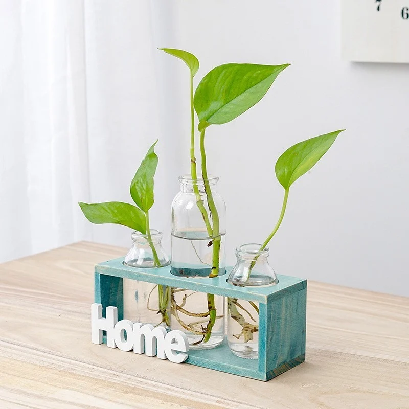 59893795-940E-40Ff-B97B-786Fd75C722E.webp simple and fresh glass vase hydroponic