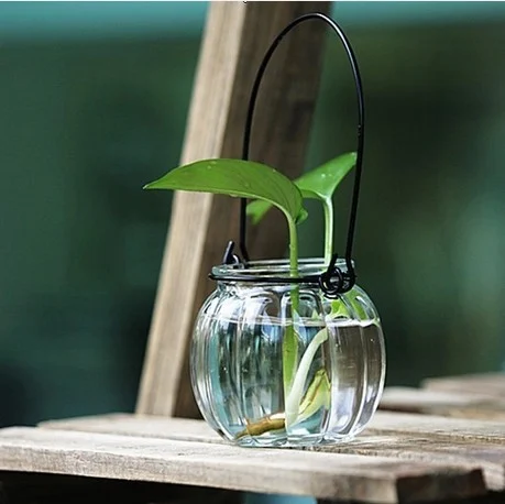 5A6A1097-062C-4925-B3Ce-63A9A1276E3C.webp glass hydroponic container vase