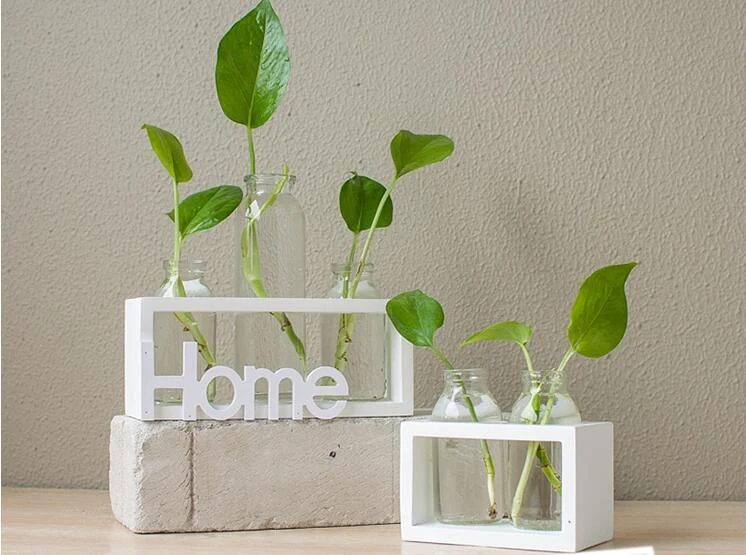 60677071539.Webp hydroponic vase glass decoration