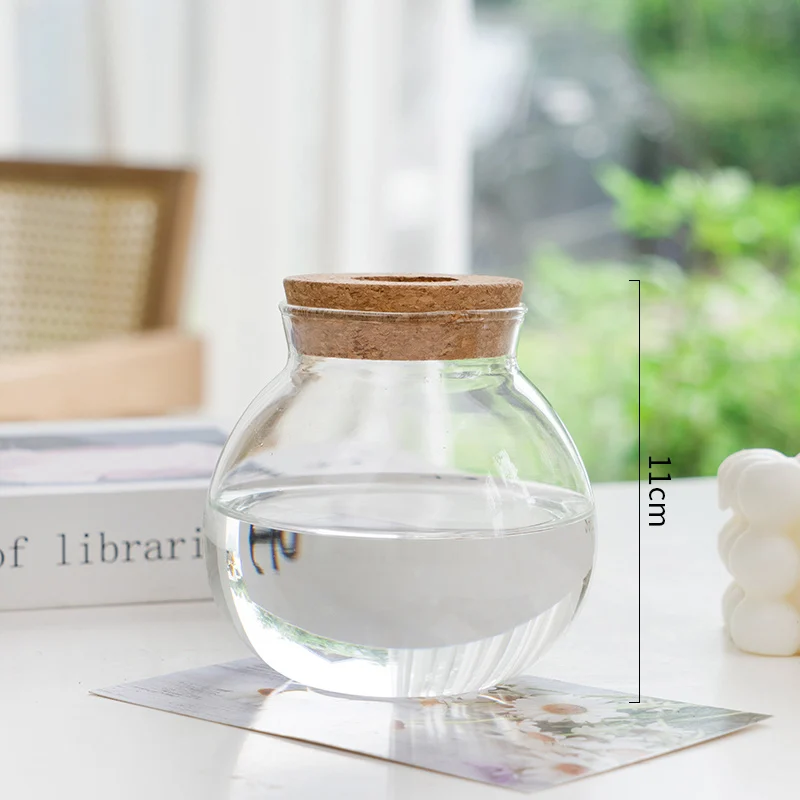 78919048-30C7-422D-Bb61-B8392F99F37C.webp transparent simple creative hydroponic plant glass vase