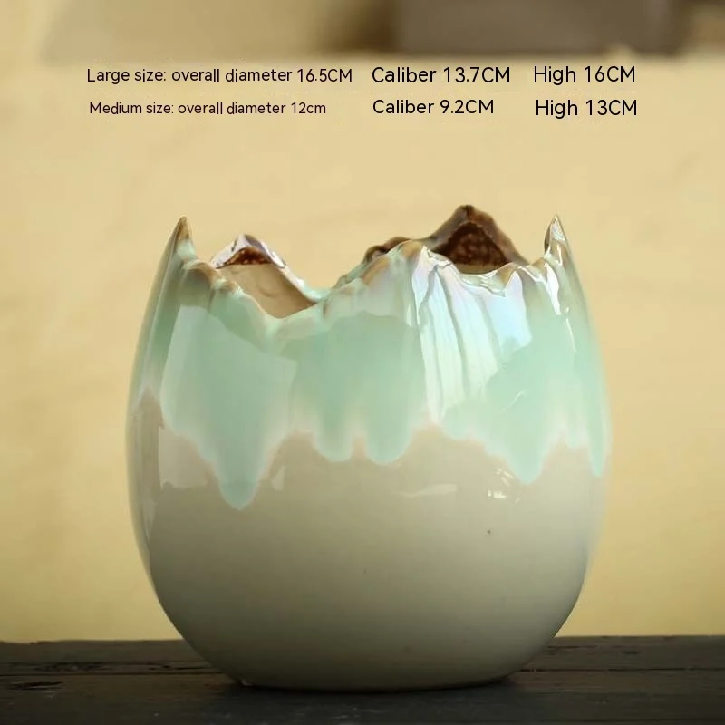7948F5A8-45D3-4Ae9-98D7-095645Ce1Ec6.Webp hydrocotyle hydroponic ceramic non-porous flowerpot